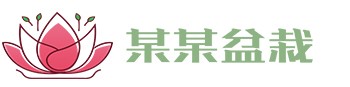 永盈welcome-欢迎您